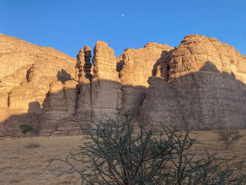 Oryx, scorpions fluorescents, observation des étoiles : partez en safari dans le désert saoudien! 