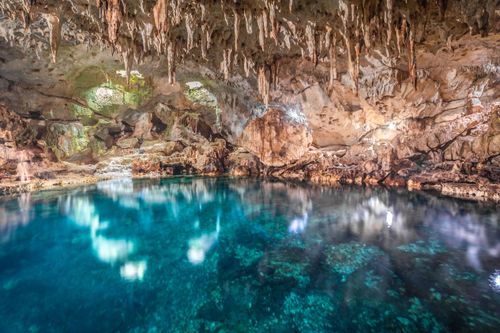 Majestueuses et féeriques, ces grottes semblent irréelles ! A visiter absolument si vous voyagez dans l'un de ces pays d'Asie