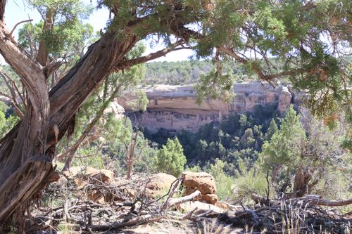 Il Parco Nazionale di Mesa Verde, il gioiello dell'Ovest americano