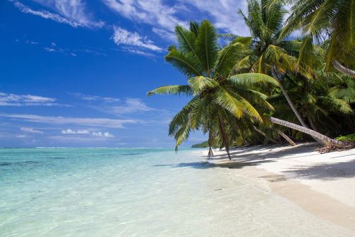  Plages paradisiaques et parcs nationaux... Quelles sont les merveilles naturelles à visiter à Madagascar ?