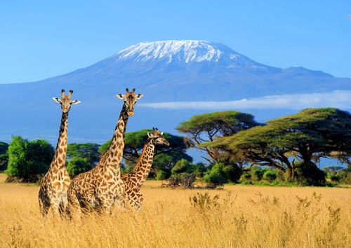 5 destinations à visiter au moins une fois en Afrique !