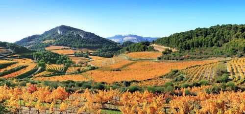 “On se croirait au Canada !” Où aller en France pour voir les plus beaux paysages de l'automne ?