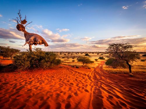 Ce continent est l’une des plus belles destinations au monde ! La preuve avec ces 5 paysages somptueux