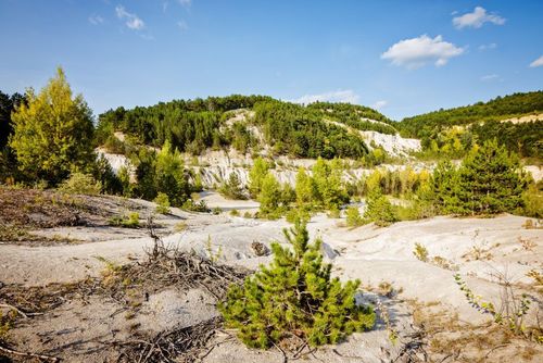 A 1h de Budapest, connaissez-vous ce désert qui ressemble au Sahara ? 