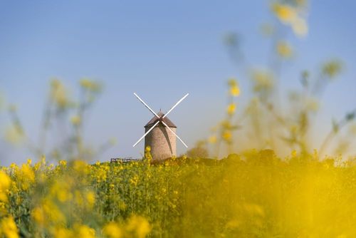 5 visites pour sortir des grands classiques en Normandie