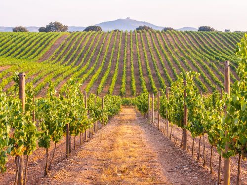 Moins connus que Lisbonne et Porto, voici 5 villages incontournables à visiter dans l'Alentejo