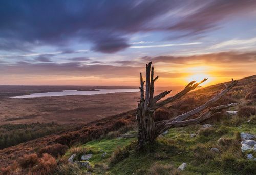 "C'est étonnant de trouver ces paysages en Bretagne !" Connaissez-vous les Monts d’Arrée à 1h de Brest ?