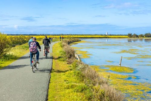 Si vous partez à la découverte de l’île de Ré pendant l’été, voici les lieux à absolument visiter !
