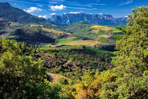 The Black Mountain in a nutshell