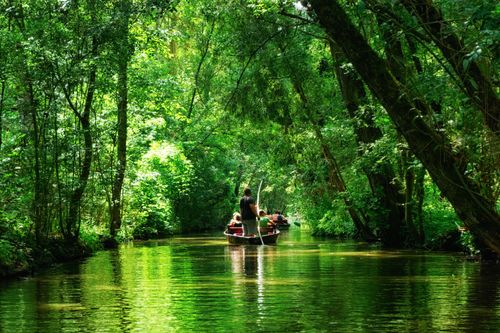 A 1h de La Rochelle, découvrez le Marais poitevin (aussi surnommé la Venise Verte) !