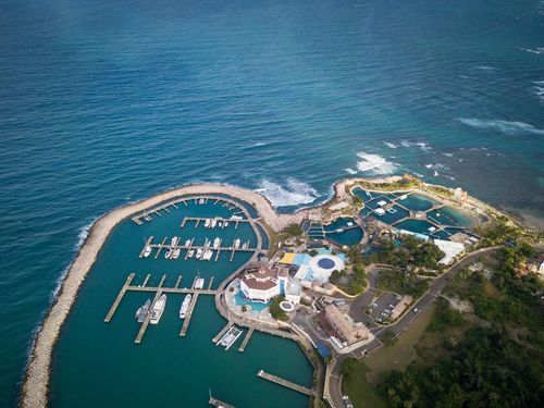 Luxury resorts, Café del Mar, swimming with dolphins and a marina - welcome to Cofresi!