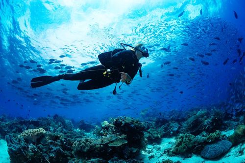 En France aussi on peut admirer les fonds marins ! Voici les plus beaux spots où faire de la plongée