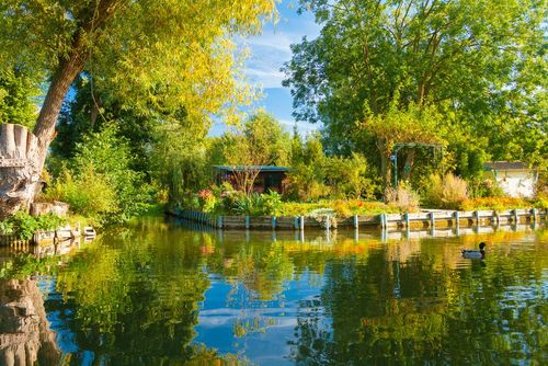 Plongez au cœur de la nature d'Amiens à l'occasion du festival international de jardins !