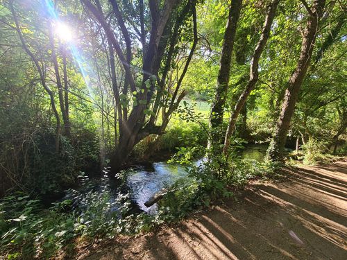 Connaissez-vous le sentier des cascades à 2h de Montpellier ? Une balade pleine de surprises (avec de jolies chutes d'eau !)