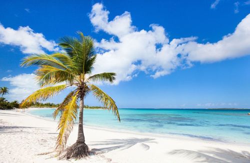 Cocotiers, eaux turquoise et sable blanc... 7 plages des Caraïbes à voir au moins une fois !