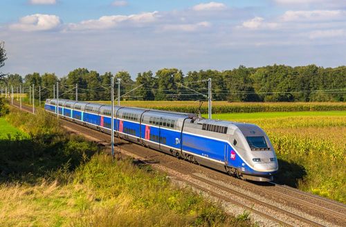 Fermeture de la ligne de TGV Paris-Lyon pour le pont du 11 novembre : quelles sont les alternatives ?