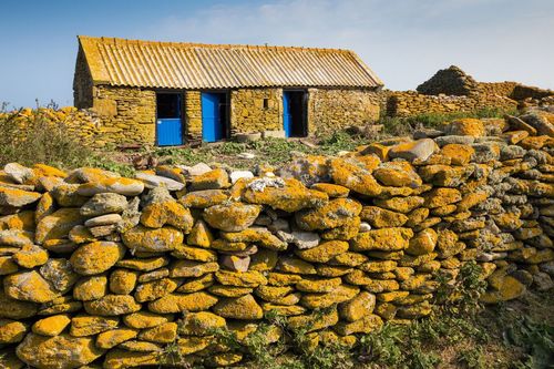 Bretagne : une île, une ferme, deux habitants... Un petit paradis à visiter !