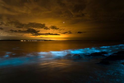 Pas besoin d'aller aux Maldives pour voir des plages bioluminescentes, il y en a en France !