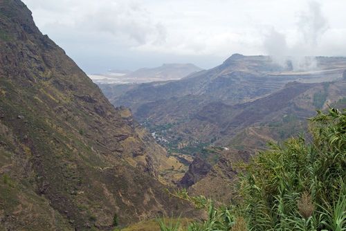 Pas la peine d'aller jusqu'au Brésil, découvrez la seule plantation de café d’Europe sur cette île paradisiaque !