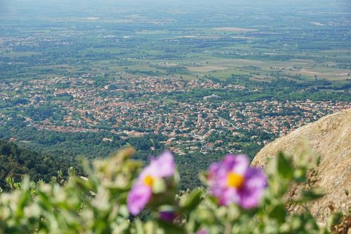 Connaissez-vous la perle des Albères ? Ce village typiquement catalan se trouve à moins de 30 minutes de Perpignan