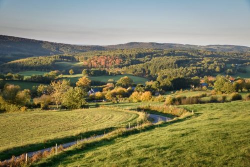 Tout le monde va en Champagne alors que le département voisin est un véritable trésor délaissé des touristes !