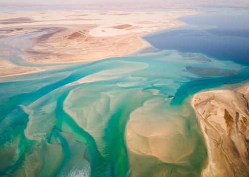 Qatar : de la mer au désert, 3 activités qui allient nature et aventure !