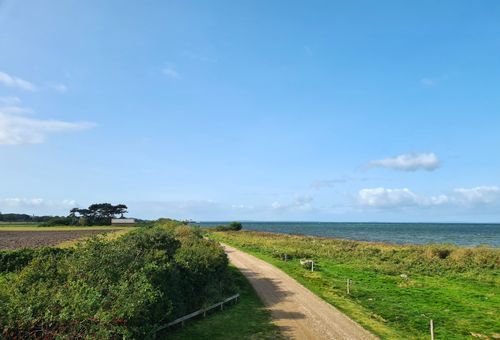 Au Danemark, cette île méconnue des touristes est un paradis pour les fans de balades en pleine nature !