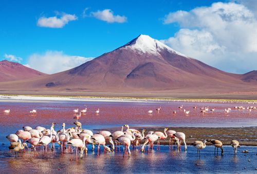 « Voir la vie en rose » n'est pas qu'une expression, découvrez les paysages les plus féériques de la planète bleue (ou rose finalement !) 