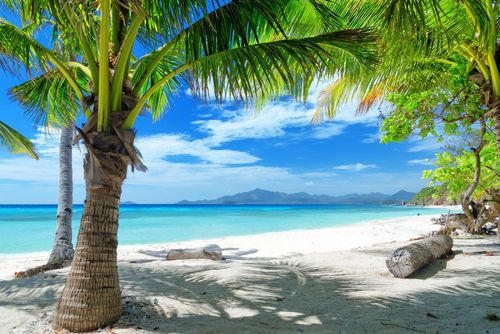 En Asie, cet archipel paradisiaque offre des paysages jamais vus ailleurs (et c'est le paradis pour les plongeurs !)