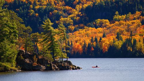 Toronto, Ottawa y Montreal vía el Parque Provincial de Algonquin