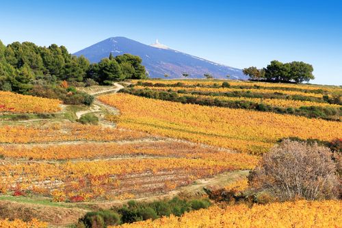 Il Mont Ventoux e le sue meraviglie