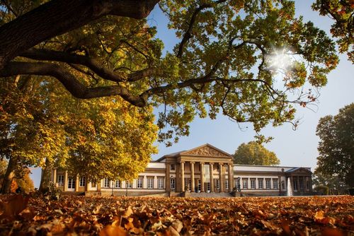 Rosen, Fossilen und Legenden: Ein Besuch im Naturkundemuseum des Schloss Rosensteins