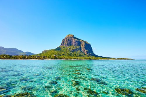 An iodised walk in Morne Brabant