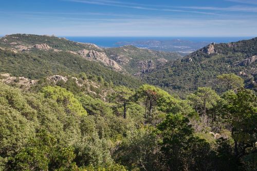 Porto-Vecchio, tierra de excursiones
