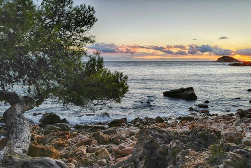 Ce charmant village de pêcheurs à 45 minutes de Marseille possède certaines des plus belles plages de la Côte d’Azur !