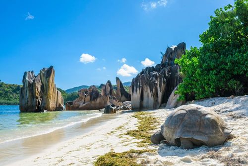 Ces îles inhabitées abritent des paysages sauvages à couper le souffle (et il y en a une en France !)