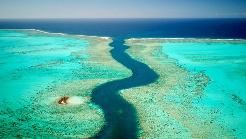 Au coeur du Pacifique, cette faille spectaculaire regorge de merveilles (et elle abrite de nombreuses créatures marines) ! Où la trouver ?