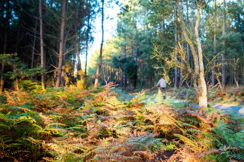 Slow tourisme et voyage durable en France : les conseils de Jamy et Tolt pour changer ses habitudes