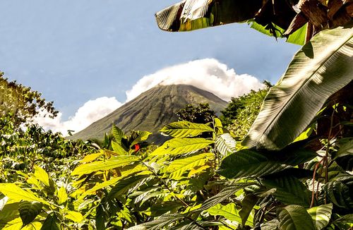 Au cœur de la nature, ces 3 plantations de cafés  sont à visiter lors d’un voyage au Costa Rica  (et vous pourrez même y dormir !) 
