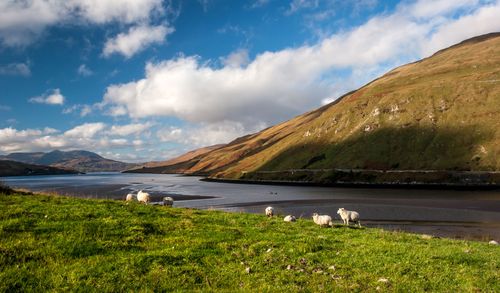 A weekend road trip around Connemara 