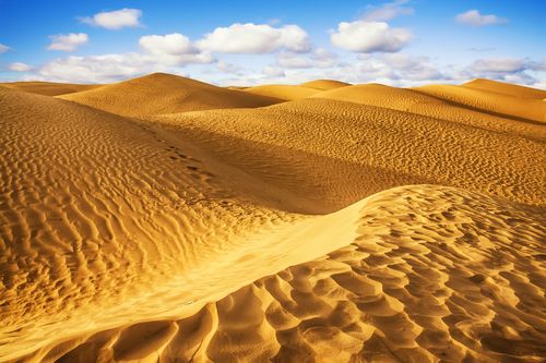 Douz, la porta del Sahara