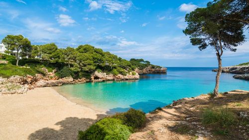 On a repéré ce bon plan à Majorque : partez à Cala d'Or pour 8 jours tout inclus à partir de 441 € par personne, vols compris !