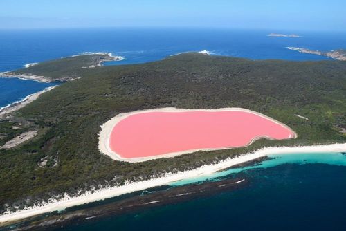 Envie de voir la vie en rose ? Découvrez ces destinations plus féériques les unes que les autres