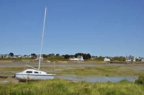 The oysters of Anse du Pô
