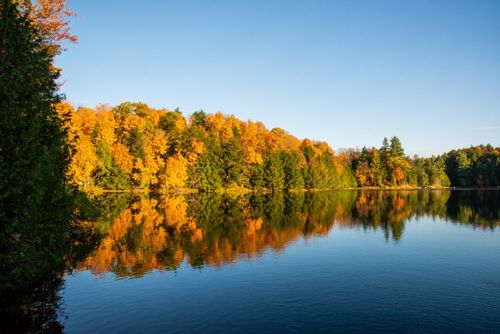 Un día en el parque de Gatineau