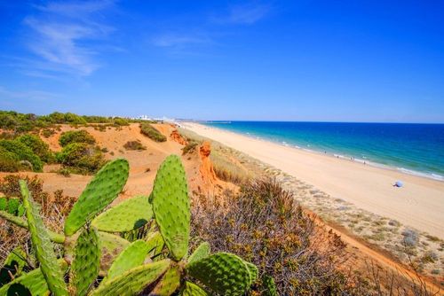 Faro