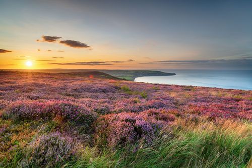 La bellezza dello Yorkshire, a sole due ore da Londra