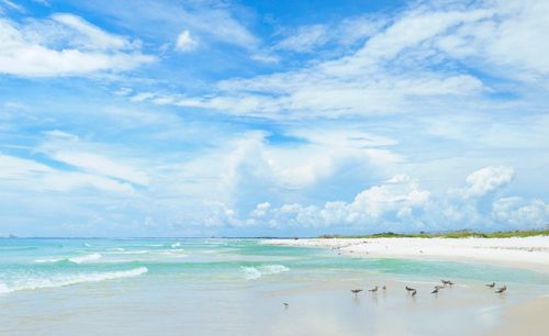 Sable blanc à perte de vue, eau cristalline, dauphins… ce lieu paradisiaque n'a rien à envier aux Maldives ! Voici où le trouver