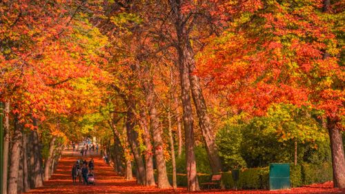 Destinos en España que son mucho mejor en otoño