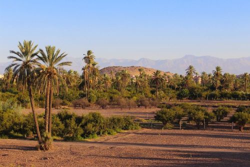Marrakech : les quartiers authentiques à visiter avant qu’ils ne deviennent trop touristiques